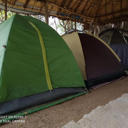 Drunken Monkey Camping Site Hotel Hampi Luaran gambar