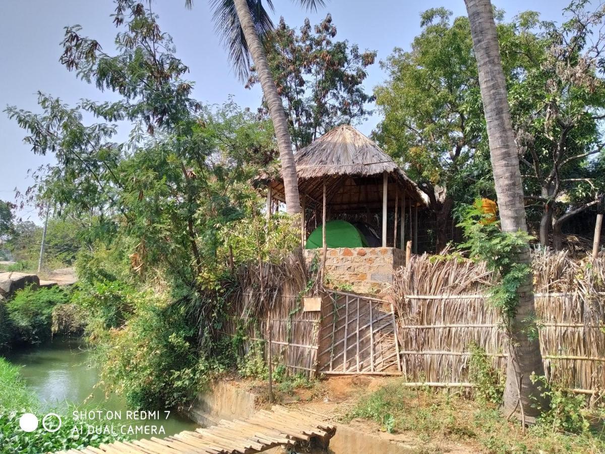 Drunken Monkey Camping Site Hotel Hampi Luaran gambar